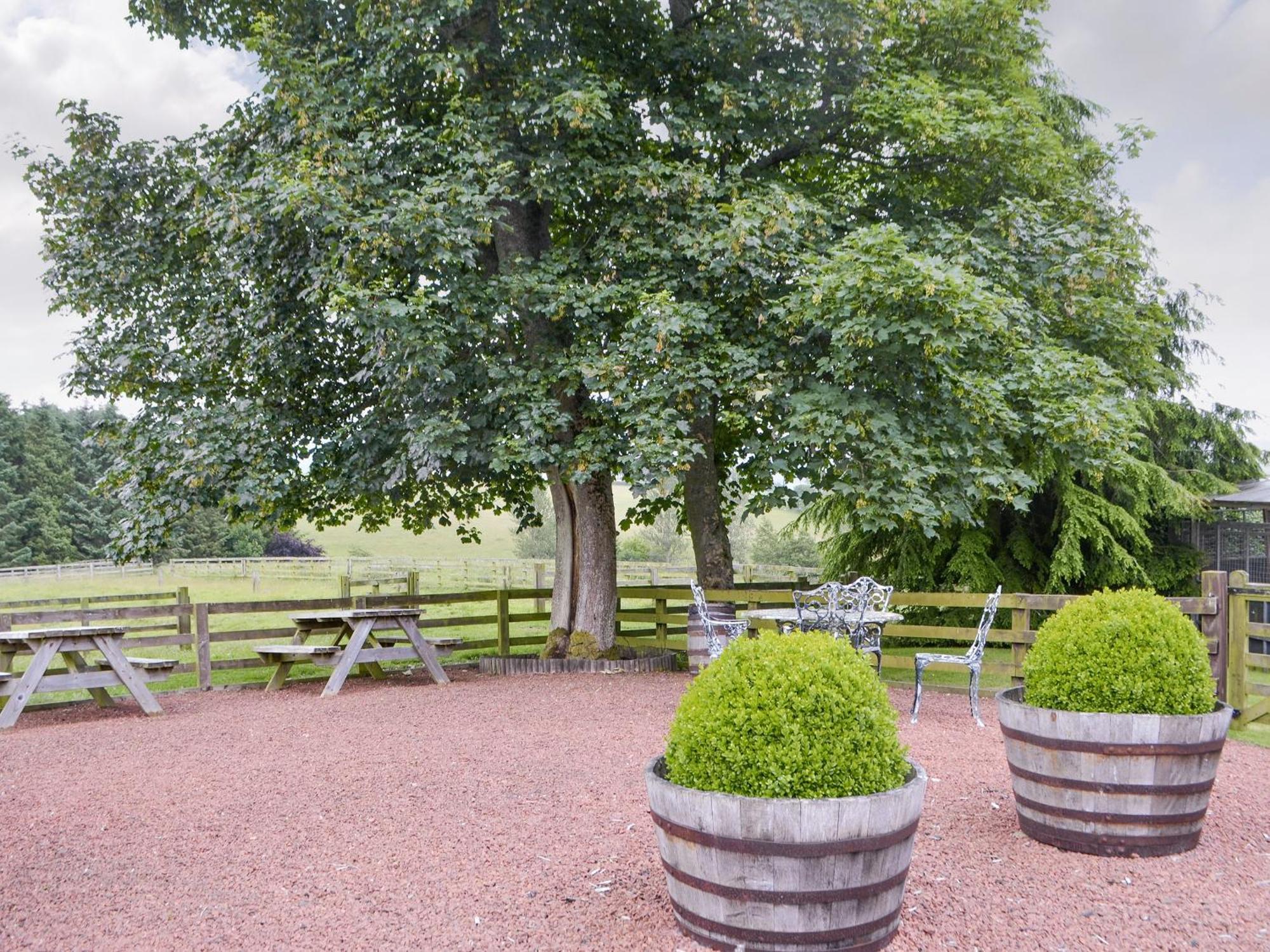 Grooms Cottage Elsdon 外观 照片